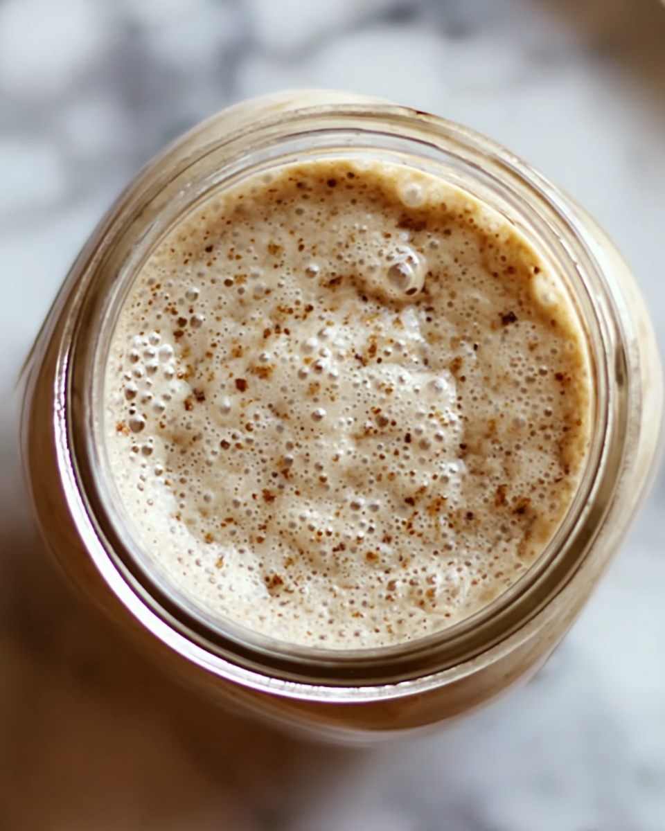 Sourdough Starter Recipe - Recipe Image