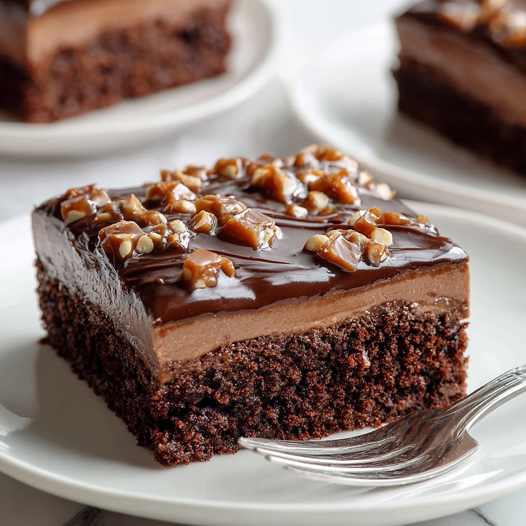 Easy Texas Sheet Cake Recipe - Recipe Image