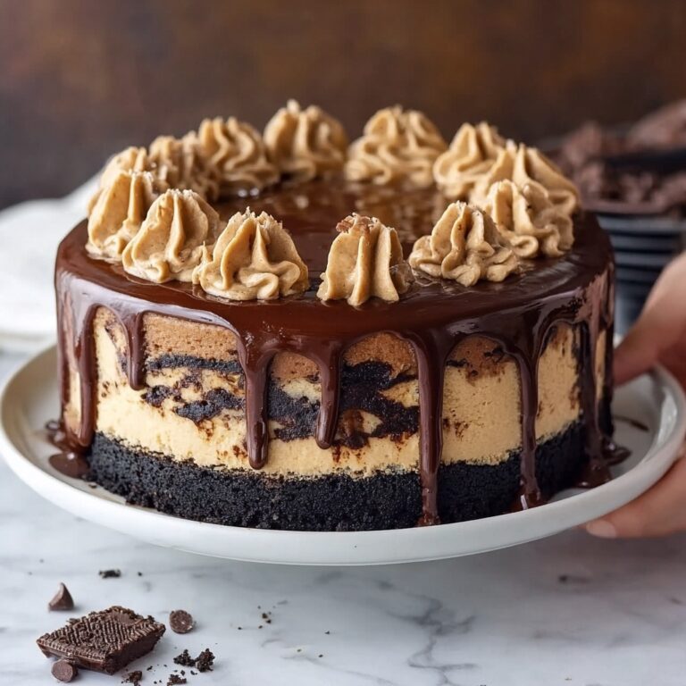 Chocolate Peanut Butter Cheesecake Delight Recipe